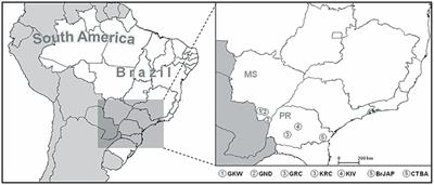 Unveiling the Diversity of Immunoglobulin Heavy Constant Gamma (IGHG) Gene Segments in Brazilian Populations Reveals 28 Novel Alleles and Evidence of Gene Conversion and Natural Selection